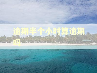 逾期半个小时算逾期吗