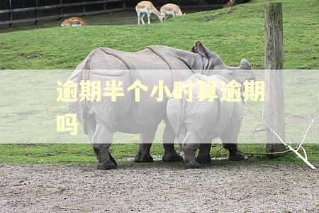 逾期半个小时算逾期吗