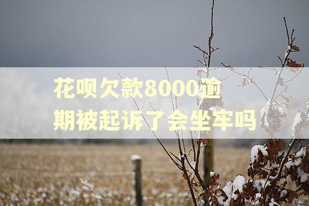 花呗欠款8000逾期被起诉了会坐牢吗