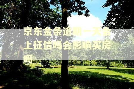 京东金条逾期一天会上征信吗会影响买房吗