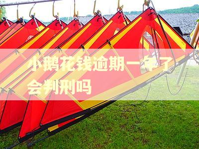 小鹅花钱逾期一年了会判刑吗