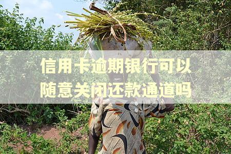 信用卡逾期银行可以随意关闭还款通道吗