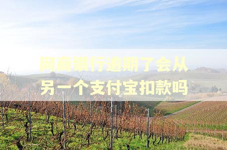 网商银行逾期了会从另一个支付宝扣款吗
