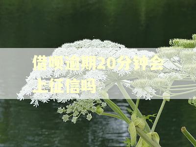 借呗逾期20分钟会上征信吗