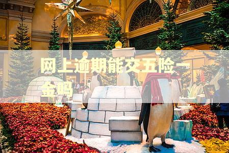 网上逾期能交五险一金吗