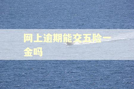 网上逾期能交五险一金吗