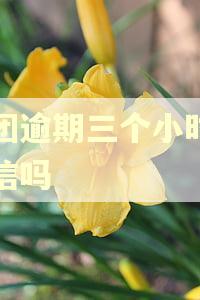 美团逾期三个小时上征信吗