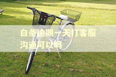 白条逾期一天打客服沟通可以吗