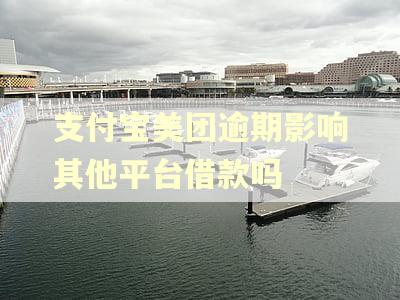 支付宝美团逾期影响其他平台借款吗