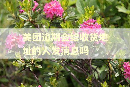 美团逾期会给收货地址的人发消息吗
