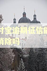 支付宝逾期征信能不能消除吗