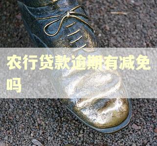 农行贷款逾期有减免吗 农行贷款逾期有减免吗