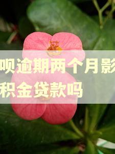 花呗逾期两个月影响公积金贷款吗