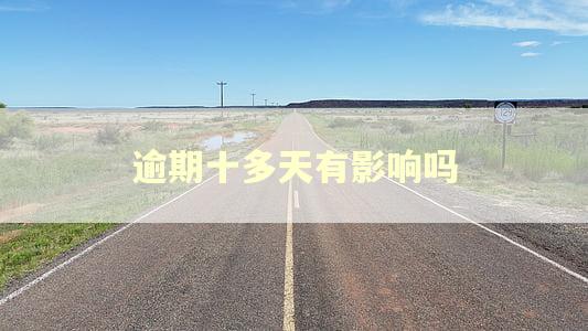 逾期十多天有影响吗