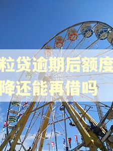 微粒贷逾期后额度没有降还能再借吗