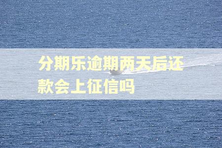 分期乐逾期两天后还款会上征信吗 分期乐逾期两天后还款会上征信吗