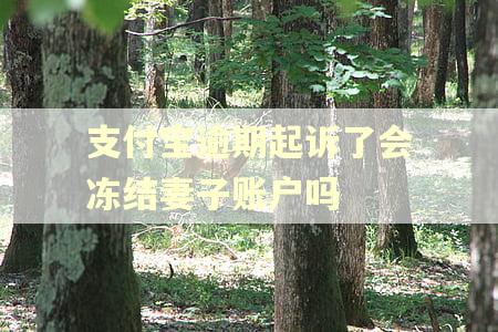 支付宝逾期起诉了会冻结妻子账户吗