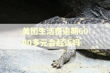 美团生活费逾期6000多元会起诉吗