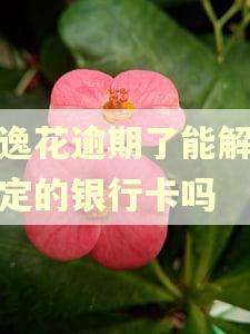安逸花逾期了能解除绑定的银行卡吗