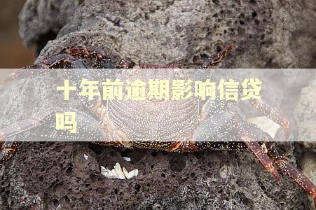 十年前逾期影响信贷吗