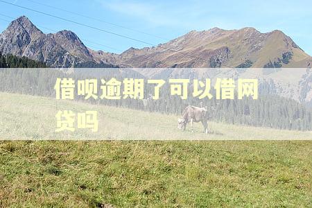借呗逾期了可以借网贷吗