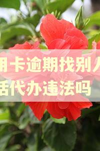 信用卡逾期找别人打电话代办违法吗