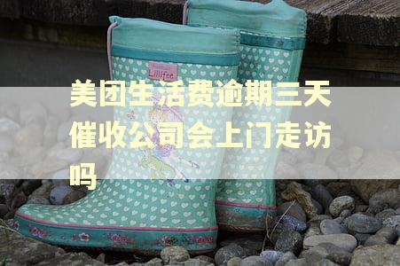 美团生活费逾期三天催收公司会上门走访吗