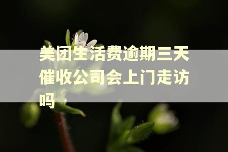 美团生活费逾期三天催收公司会上门走访吗