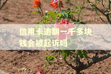 信用卡逾期一千多块钱会被起诉吗