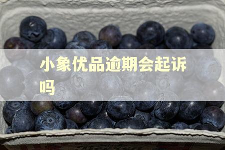 小象优品逾期会起诉吗