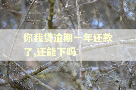 你我贷逾期一年还款了,还能下吗