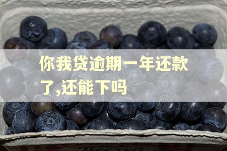 你我贷逾期一年还款了,还能下吗