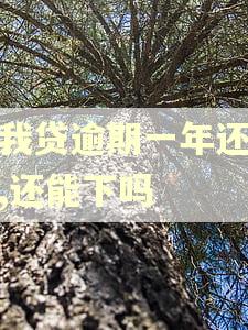 你我贷逾期一年还款了,还能下吗