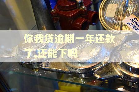 你我贷逾期一年还款了,还能下吗