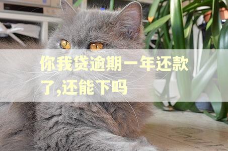 你我贷逾期一年还款了,还能下吗