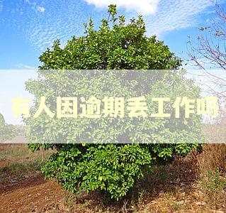 有人因逾期丢工作吗 有人因逾期丢工作吗