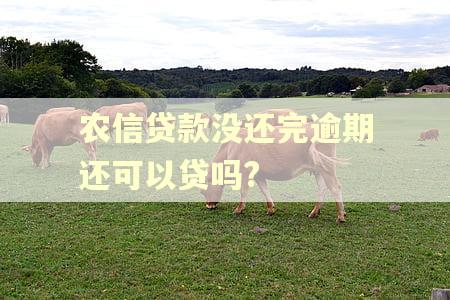 农信贷款没还完逾期还可以贷吗?