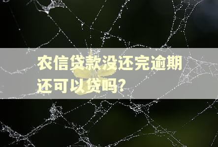 农信贷款没还完逾期还可以贷吗?