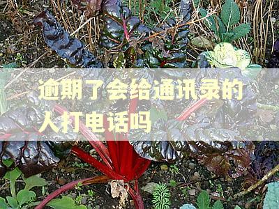 逾期了会给通讯录的人打电话吗
