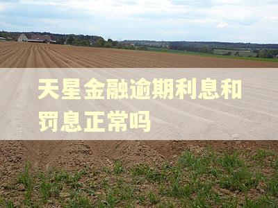 天星金融逾期利息和罚息正常吗