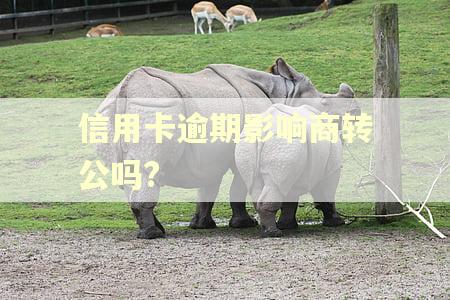 信用卡逾期影响商转公吗?