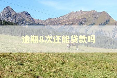 逾期8次还能贷款吗