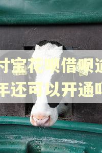 支付宝花呗借呗逾期两年还可以开通吗