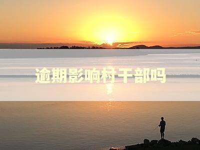 逾期影响村干部吗