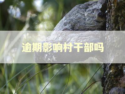 逾期影响村干部吗