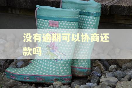 没有逾期可以协商还款吗