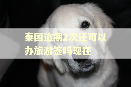 泰国逾期2次还可以办旅游签吗现在 泰国逾期2次还可以办旅游签吗现在