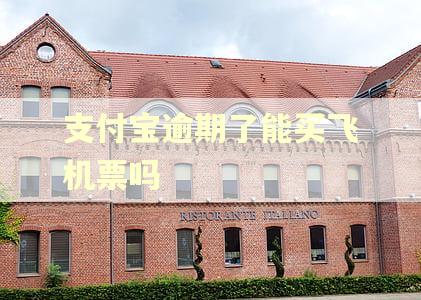 支付宝逾期了能买飞机票吗