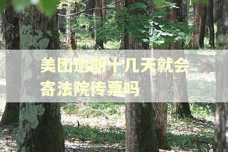 美团逾期十几天就会寄法院传票吗