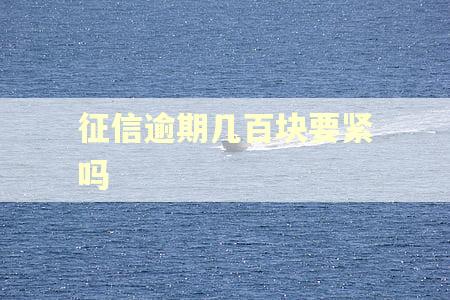 征信逾期几百块要紧吗 征信逾期几百块要紧吗